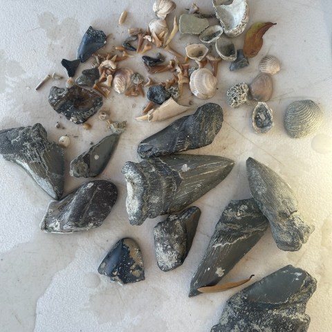 a close up of many different types of chocolate