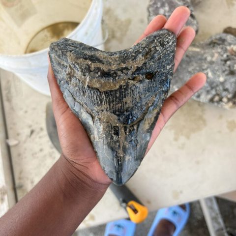 a hand holding a piece of wood