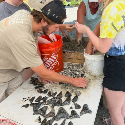 a group of people standing on top of a cutting board with a cake